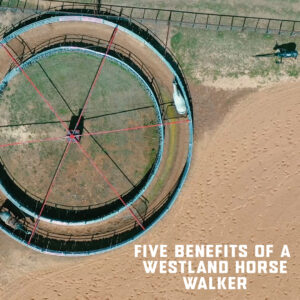 Westland Horse Walkers: 5 Benefits You Can't Ignore