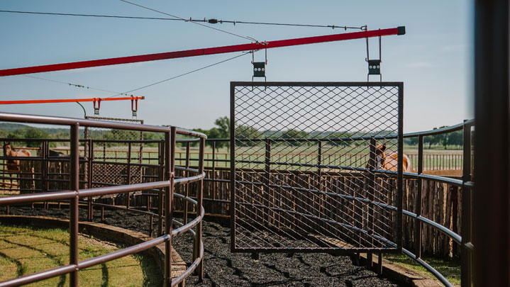 Equine Track Watering System