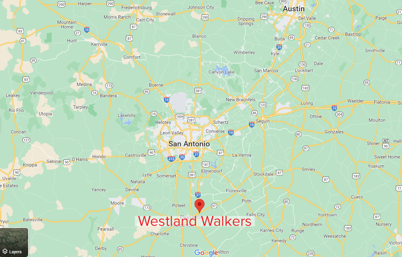Google Map Westland Walkers