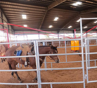 promote horse muscle recovery promote horse muscle recovery
